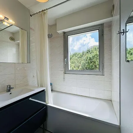 Apartment T2 Bis Avec Terrasse, Proche Parc Des Dryades Et - Les Pins - Fr-1-245-199 *